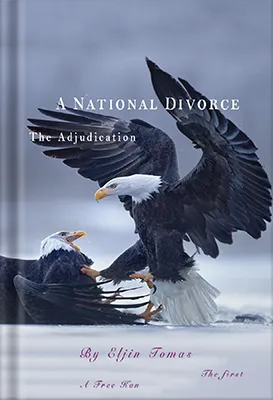 A-National-Divorce-2021 by Cencora Book Publishers